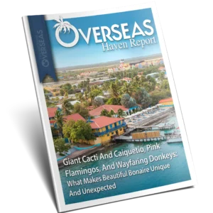 Giant Cacti And Caiquetio, Pink Flamingos, And Wayfaring Donkeys: What Makes Beautiful Bonaire Unique And Unexpected