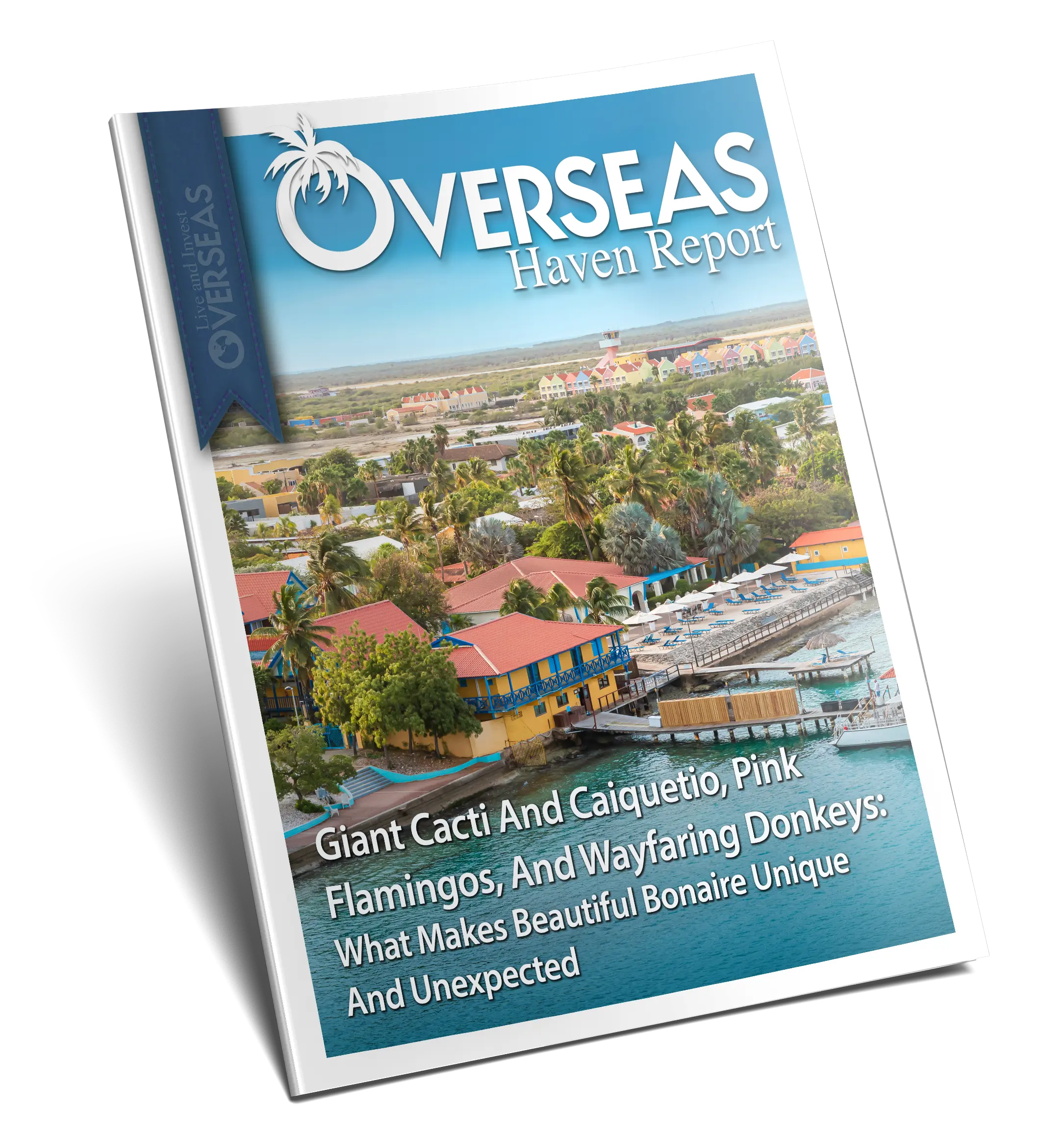 Giant Cacti And Caiquetio, Pink Flamingos, And Wayfaring Donkeys: What Makes Beautiful Bonaire Unique And Unexpected